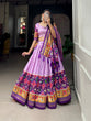 Load image into Gallery viewer, Lavender Color Patola Print With Foil Work Tussar Silk Lehenga Choli ClothsVilla