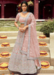 Load image into Gallery viewer, Peach Patch Border Organza Lehenga Choli Clothsvilla