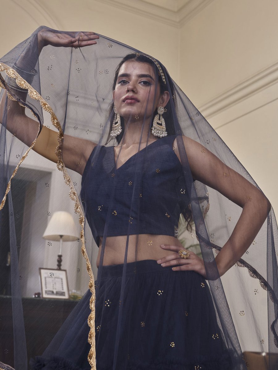 Navy Blue Net Embroidered Lehenga Choli Clothsvilla