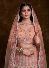 Load image into Gallery viewer, Net Peach Thread and zari A Line Lehenga Choli Clothsvilla