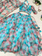 Load image into Gallery viewer, Multi-printed Sky Blue Color Organza Lehenga Choli