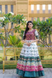 Load image into Gallery viewer, Party Wear White Color Patola Print Gown