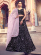 Load image into Gallery viewer, Redefined Black Partywear Lehenga Choli Clothsvilla
