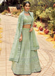 Load image into Gallery viewer, Sea Green Organza Patch Border Lehenga Choli Clothsvilla