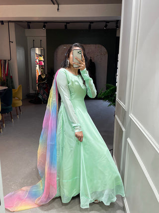 Pista Color Simple Soft Organza Gown Clothsvilla