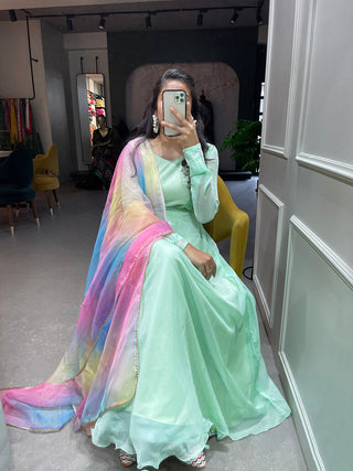 Pista Color Simple Soft Organza Gown Clothsvilla
